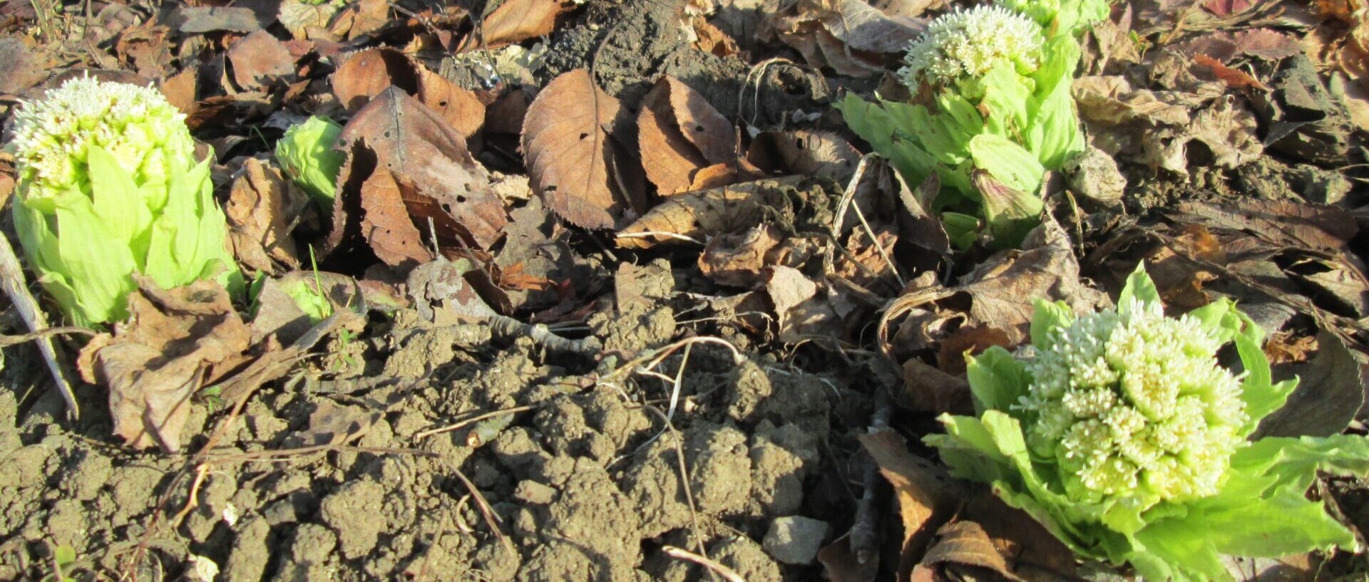 秩父市立荒川中学校 メインイメージ