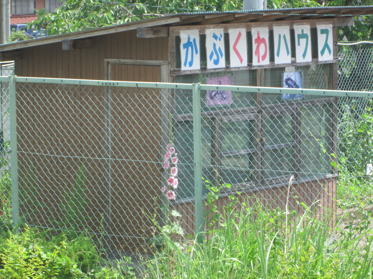 秩父市立久那小学校