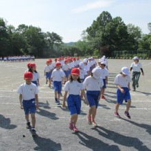 IMG_0514