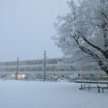 IMG_1390