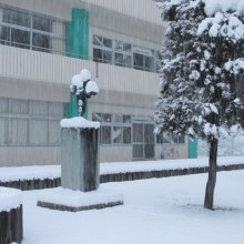 IMG_1392
