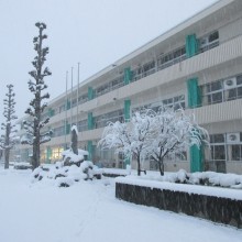 IMG_1393