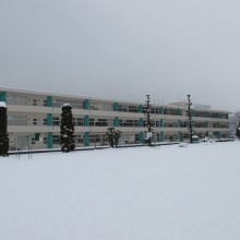 IMG_1394