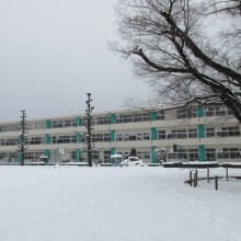 IMG_1395