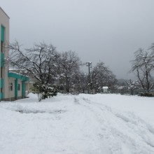 IMG_1396