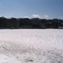 IMG_8041