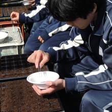 DSCN3969