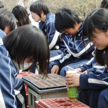 DSCN3974