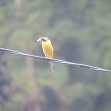 DSCN1453