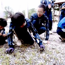 20160616094109