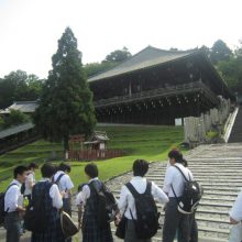 IMG_0126