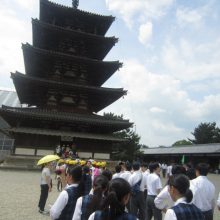 IMG_0155