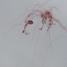 dscn1768